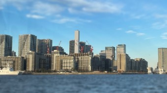 bdeaf1ec8e58791ad8a4a4aa7b90d1d5